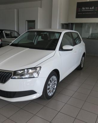 Skoda Fabia 5 Porte Fabia 1.0 mpi Business 75cv my