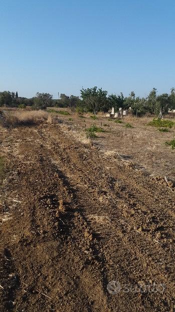 Terreno agricolo edificabile - Vista 4