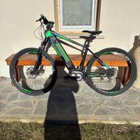 Ebike