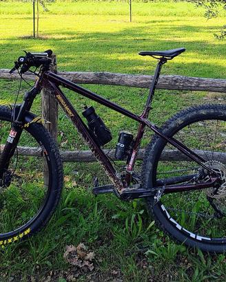 Bicicletta Bergamont Revox 7 telaio M
