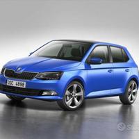 Ricambi usati Skoda Fabia octavia 2010 2020