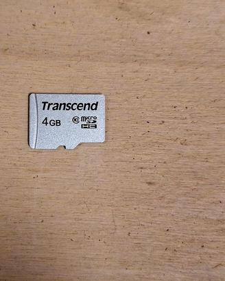 Transcend scheda di memoria 4 GB