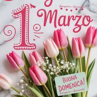 Dama di compagnia solo notte