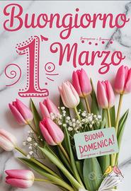 Dama di compagnia solo notte