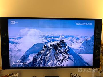 Sony Bravia 4K 60 pollici funzionante