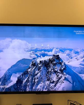 Sony Bravia 4K 60 pollici funzionante