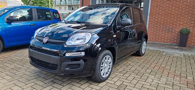 Fiat Panda 1.0 FireFly S&S Hybrid Icon