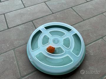 Gioco interattivo gatti, nuovo