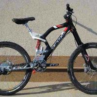 Pedroni Etilica Downhill Dh C.E.R.C.O.