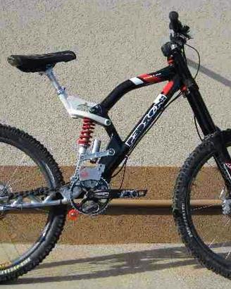 Pedroni Etilica Downhill Dh C.E.R.C.O.