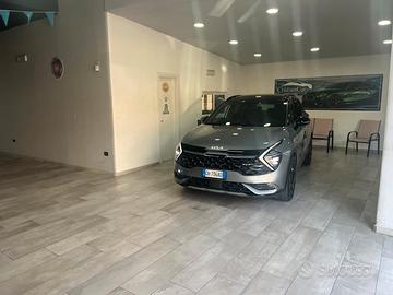 Kia Sportage 1.6 CRDi MHEV DCT GT-line Plus