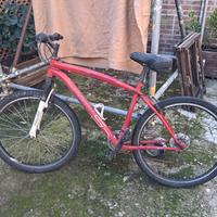 bicicletta muntan bike 
