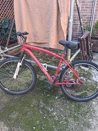 bicicletta muntan bike 