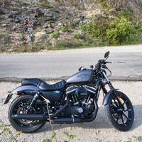 Harley-Davidson Sportster Iron 883 (2016) – Grigio