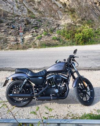 Harley-Davidson Sportster Iron 883 (2016) – Grigio