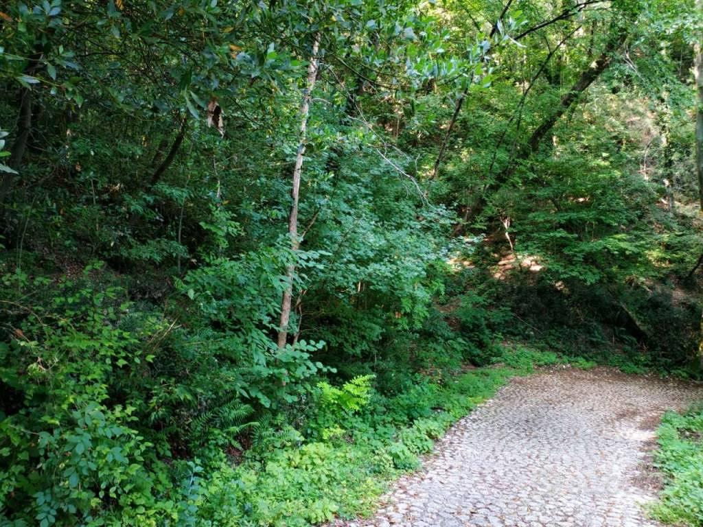 Terreno di 1720 m² a Polcenigo - Vista 3