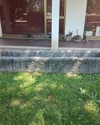 vasche da giardino in marmo '700