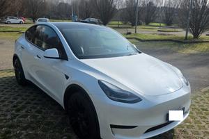 tesla y,garanzia,volante joke,tv posteriore,traino