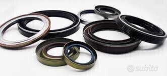 GUARNIZIONE PARAOLIO FORCELLA BMW