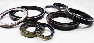 GUARNIZIONE PARAOLIO FORCELLA BMW
