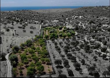 Terreno Contrada Bochini Noto 9000 MQ