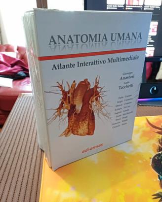 Atlante di anatomia anastasi tacchetti