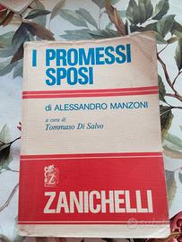  I promessi sposi 