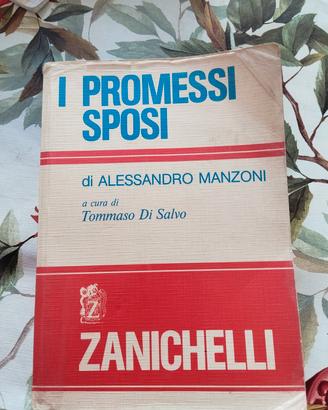  I promessi sposi 