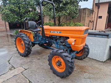 TRATTORE AGRICOLO USATO FIAT 250 DT