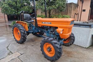 TRATTORE AGRICOLO USATO FIAT 250 DT