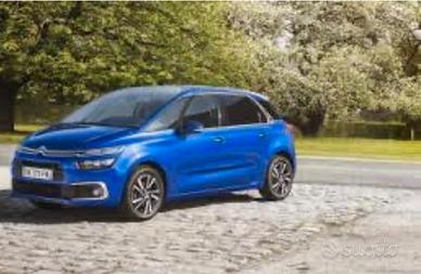 Ricambi C4 Picasso