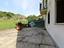 Immagine 9
