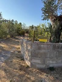 Terreno agricolo uliveto seminativo 5400mt