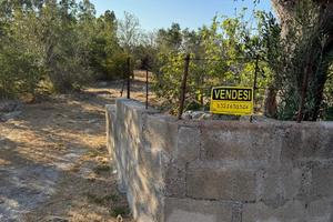 Terreno agricolo uliveto seminativo 5400mt