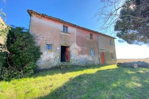 RUSTICO A MONTEFIASCONE