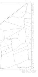 Terreni agricoli e da pascolo nove ettari