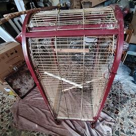 voliera per pappagalli