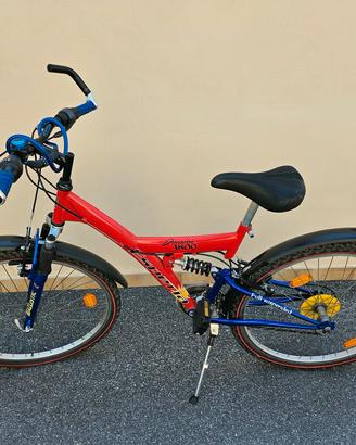 Mountain bike in buone condizioni