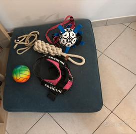 Cuscino collari giochi cane taglia media
