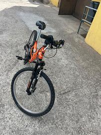 Bicicletta
