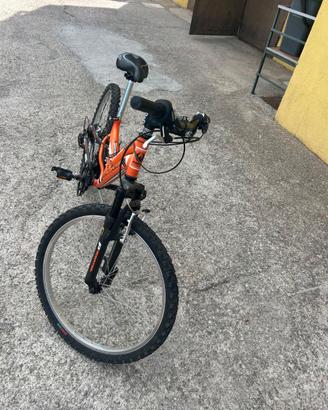 Bicicletta
