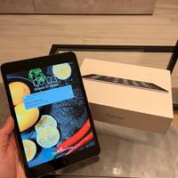 Ipad mini 2 16gb