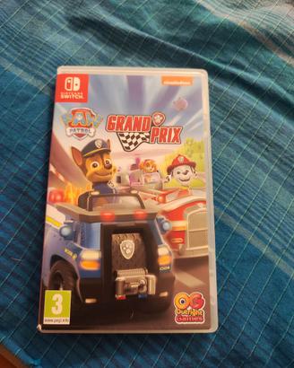 Schedina paw patrol