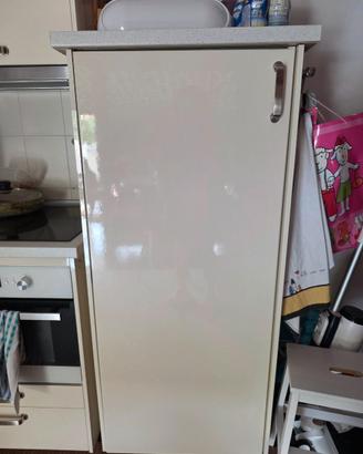 Frigo da incasso