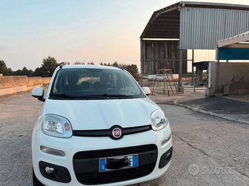 Panda metano anno 2014