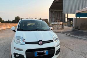 Panda metano anno 2014