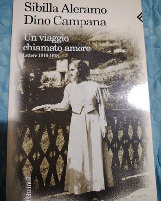 Un viaggio chiamato amore di Aleramo Campana 