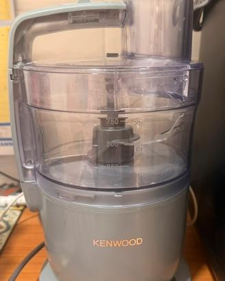 Kenwood multipro go food processor