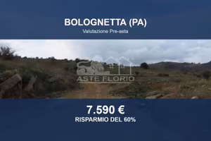 Immobile in asta di 37799 m² a Bolognetta