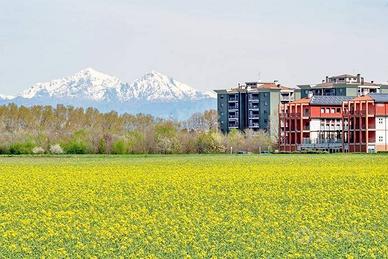 Terreno di 6000 m² a Cinisello Balsamo